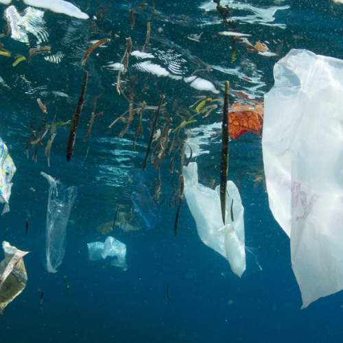 Évaluation ex-ante du projet Be Med : s’engager pour une mer méditerranée sans plastique - Fonds Français pour l’Environnement Mondial