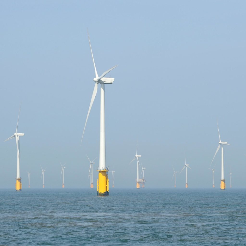 Réalisation de l’état actuel de l’environnement de la zone de projet de parc éolien au large de la Bretagne Sud (AO5) - DGEC