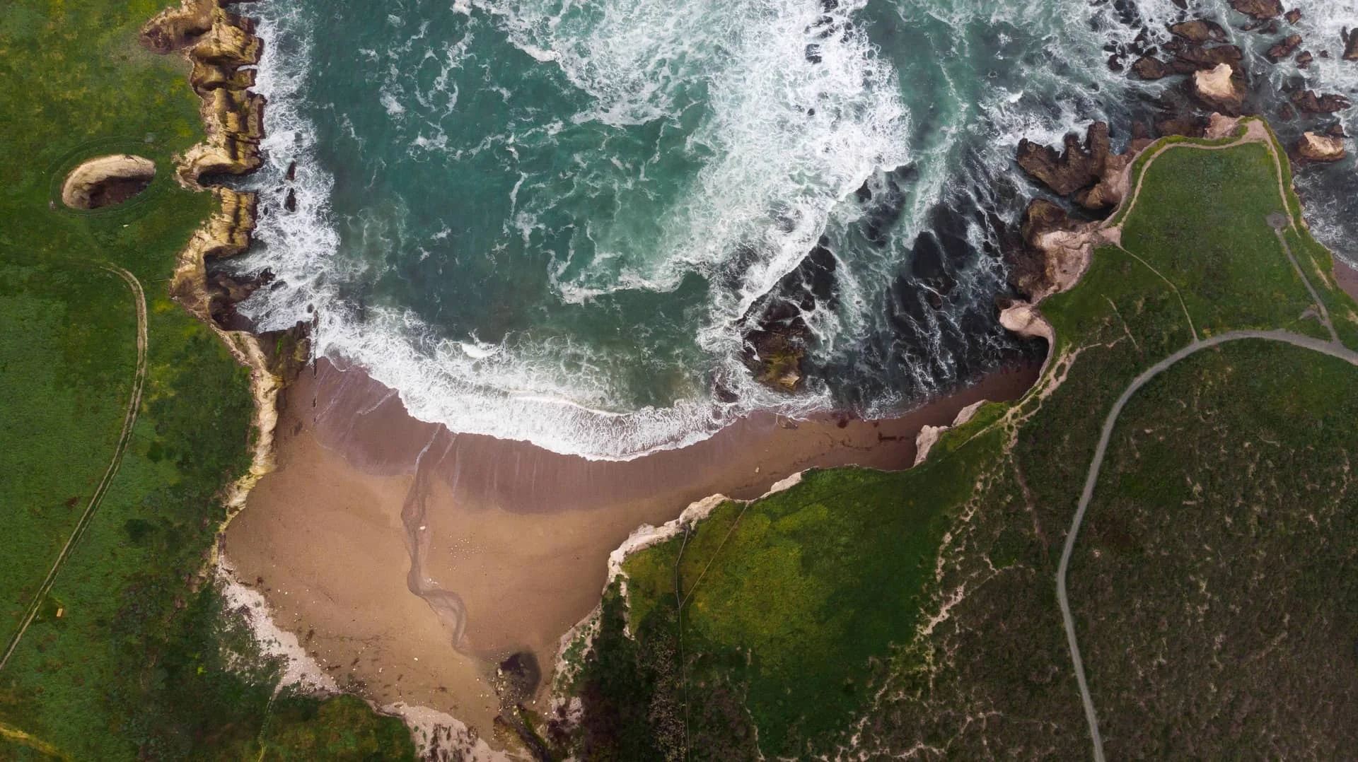 Environnement, résilience climatique et écologie marine