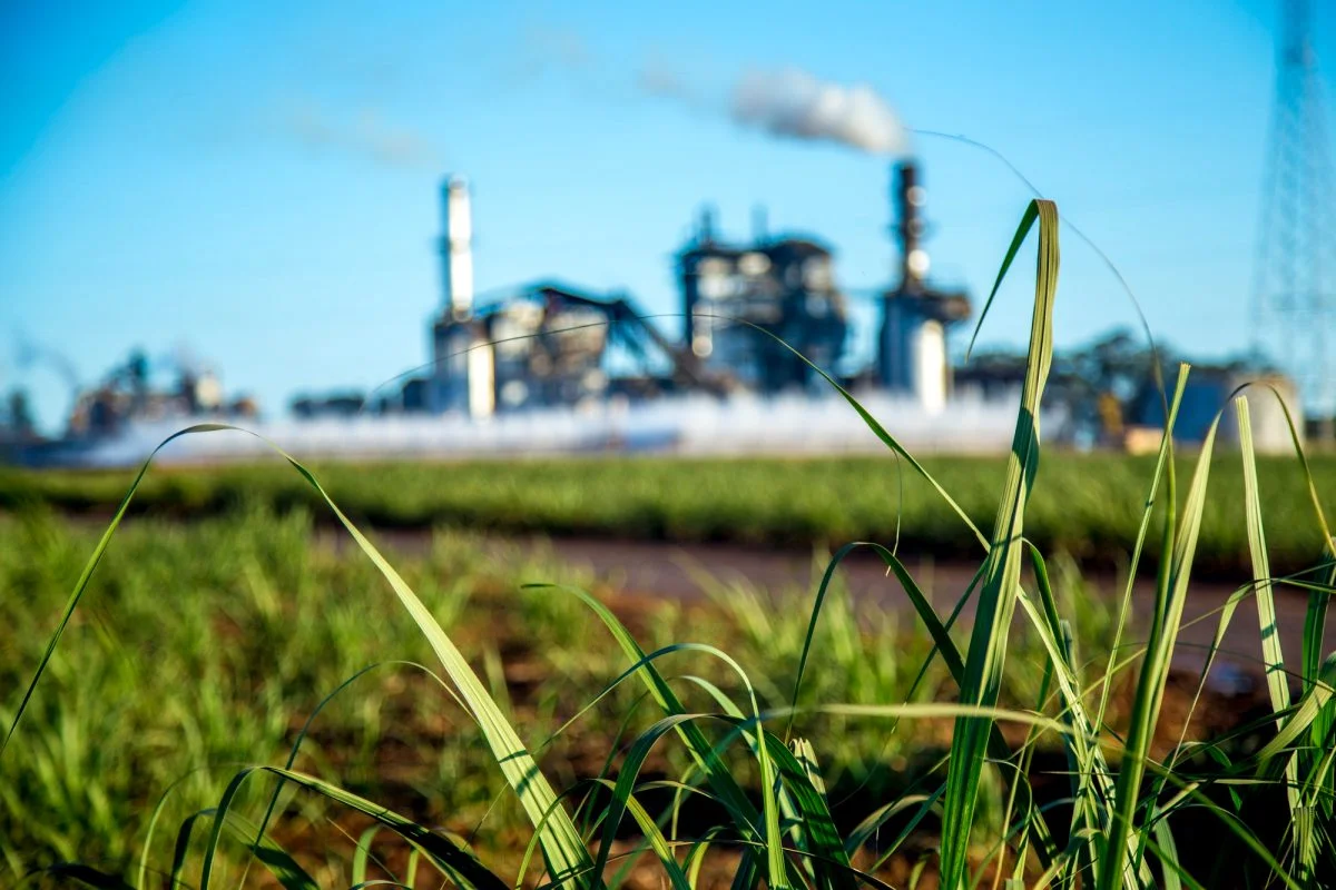 Efficacité énergétique & décarbonation industrielle