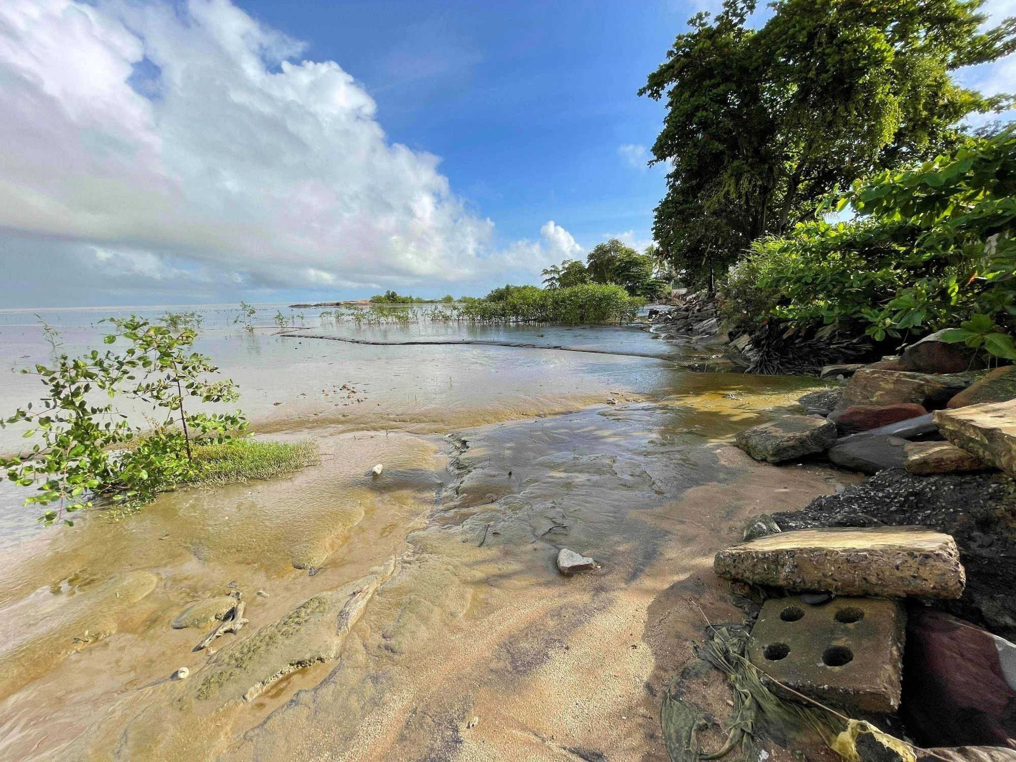 Sécuriser les autorisations environnementales du câble sous-marin de télécommunication Lum@Link en Guyane