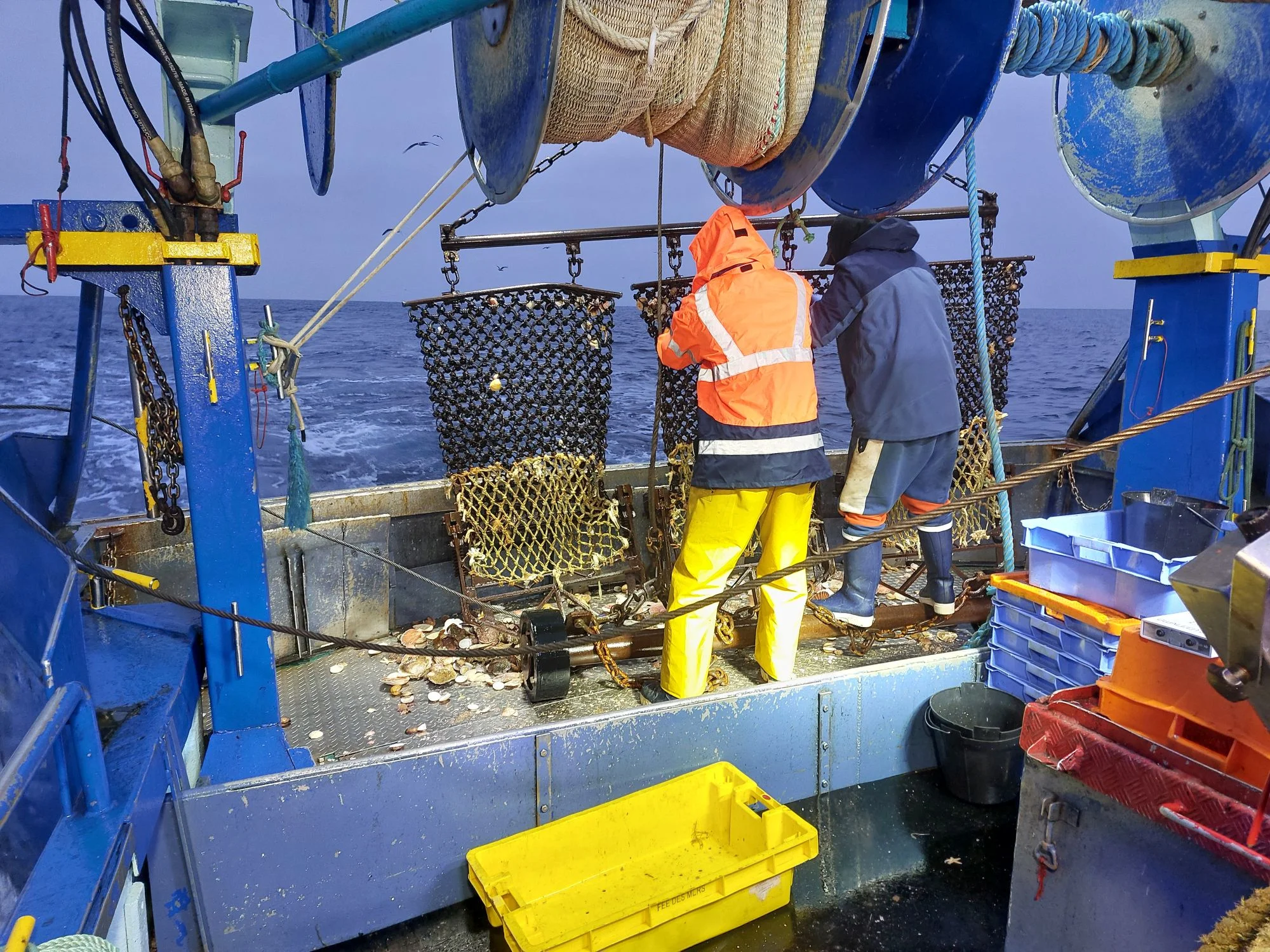 Suivre la ressource halieutique et les communautés planctoniques d'un parc éolien offshore en phase d’exploitation