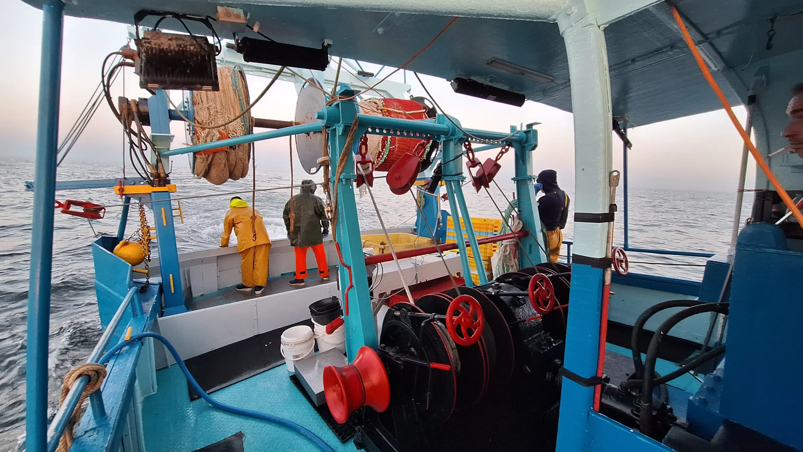 Suivre les ressources halieutiques et les autres peuplements sur le parc éolien offshore