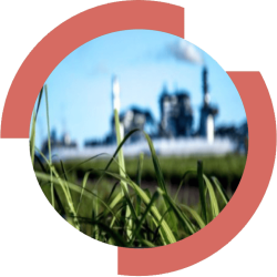 Efficacité énergétique & décarbonation industrielle Efficacité énergétique & décarbonation industrielle